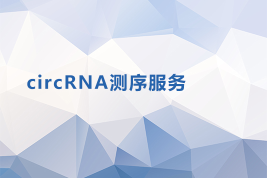circRNA测序服务