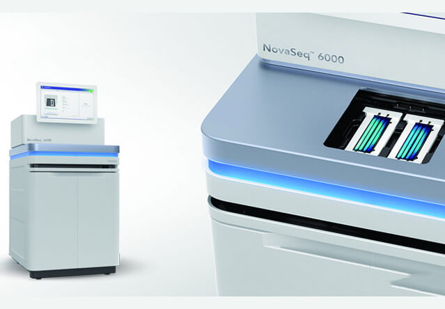 Illumina NovaSeq 6000 测序平台