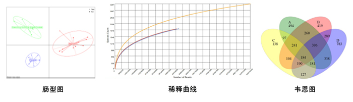 未标题-2.jpg