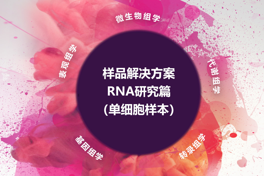 RNA研究篇（单细胞样本）