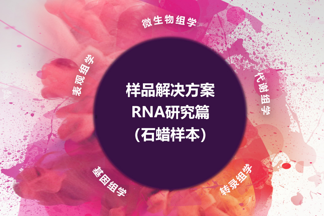 RNA研究篇（石蜡样本）