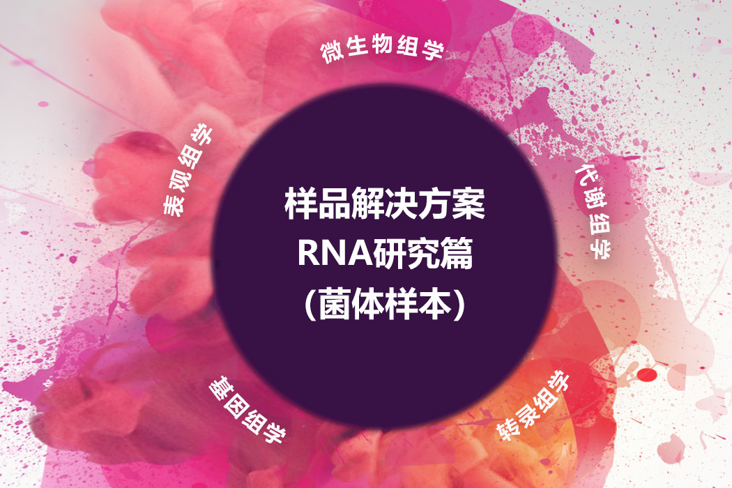 RNA研究篇（菌体样本）