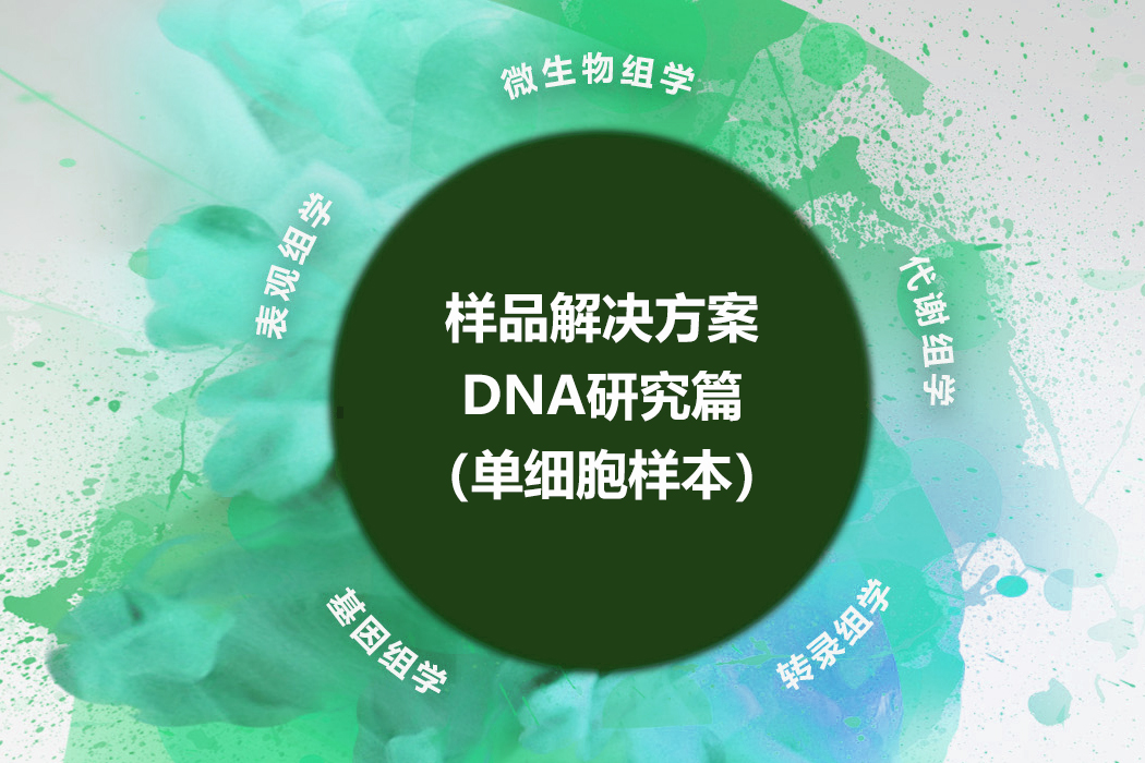 DNA研究篇（单细胞样本）