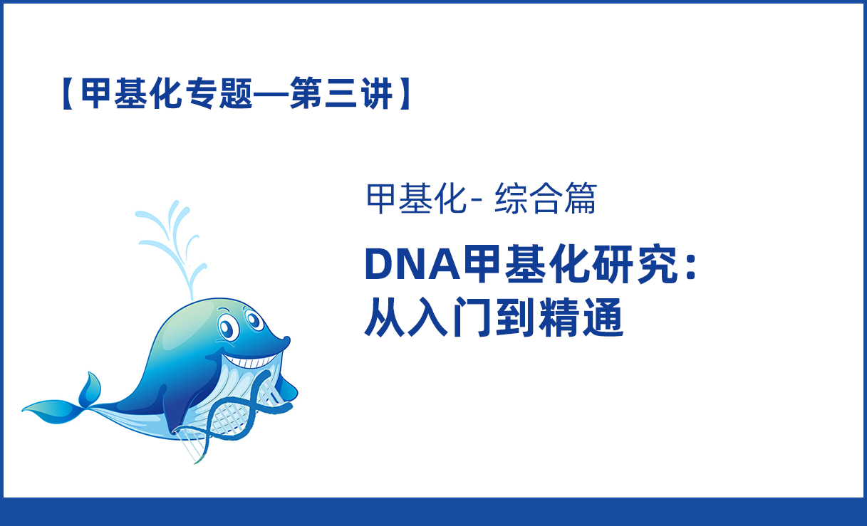 【2020甲基化专题】第三讲：DNA甲基化研究-从入门到精通