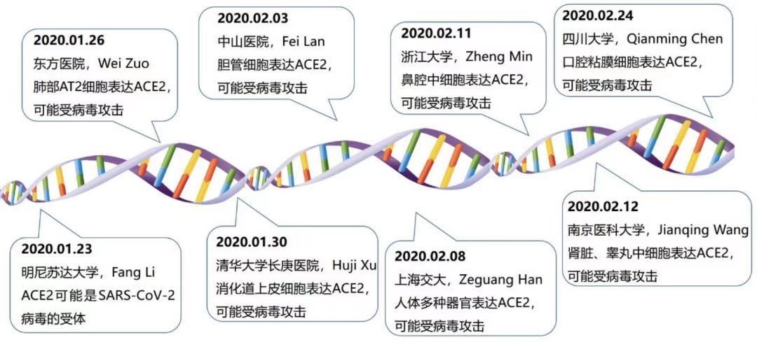 2020年2月19日：针对新冠疫情发布高通量单细胞水平测序病毒转录组分析解决方案，为『新型冠状病毒肺炎』研究助力