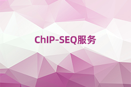 ChIP-SEQ服务