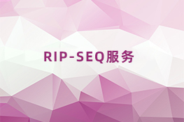 RIP-SEQ服务