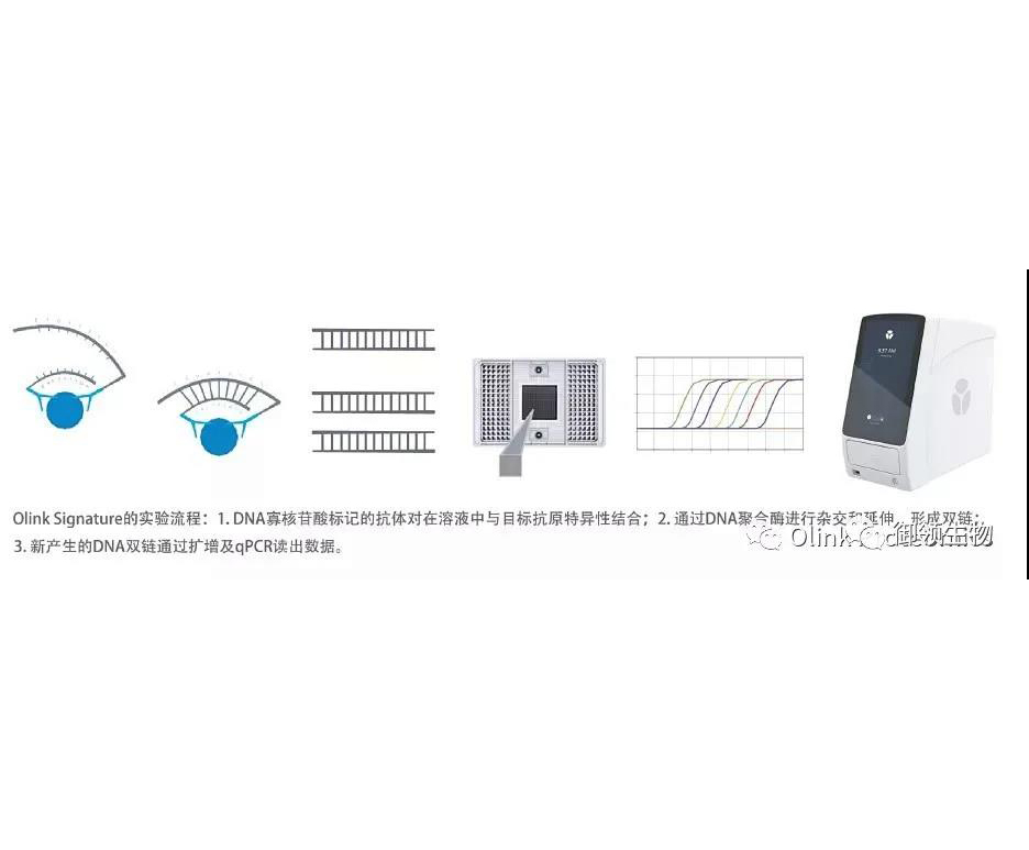 公司引进Signature Q100｜新一代蛋白组学解决方案落地